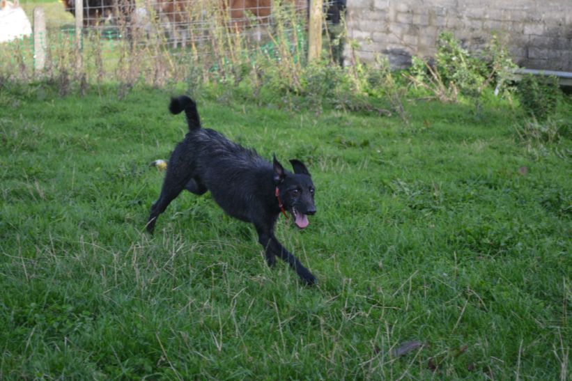 Image 20