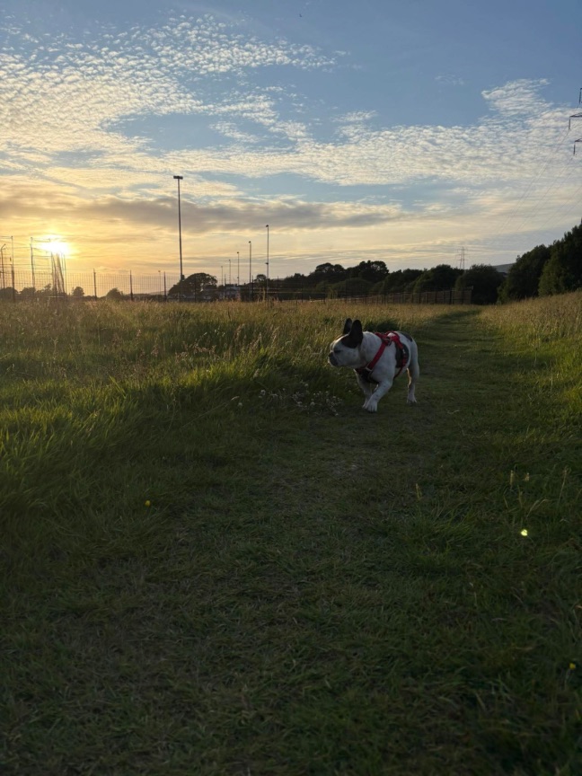 Image 16