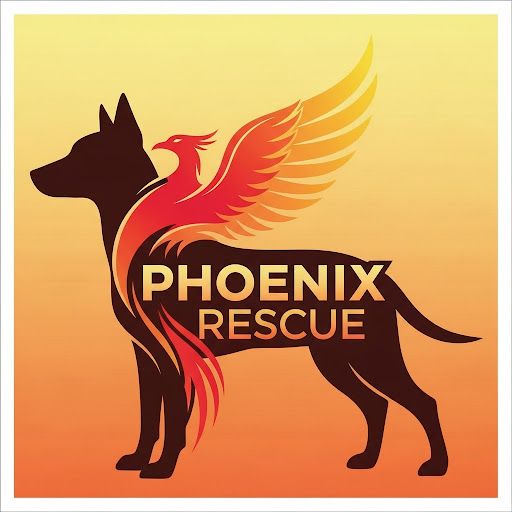 Charity Logo